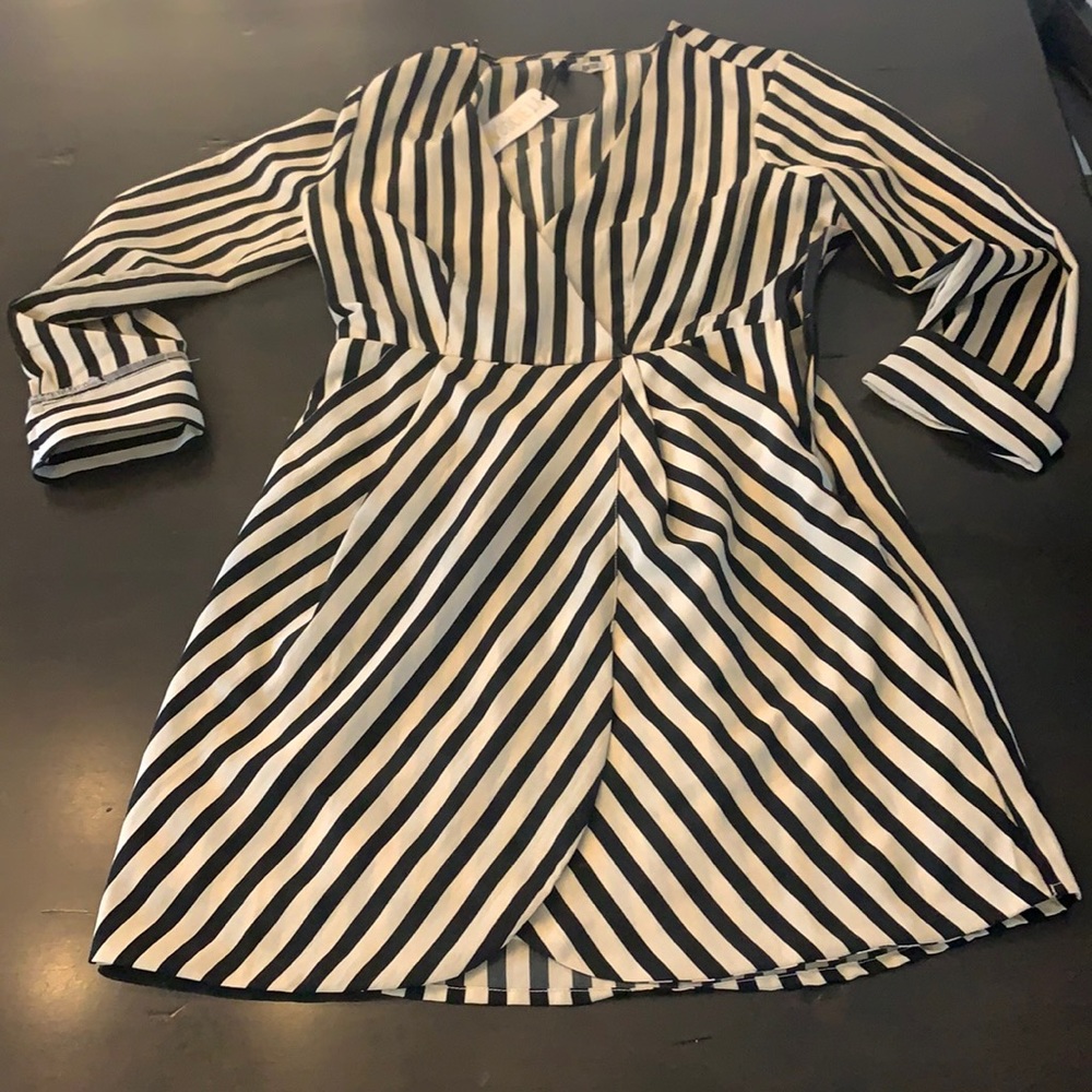 NWT Amuse Society striped Dress
